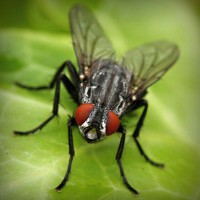 /album/lectaguger/photolia-a01-jpg/