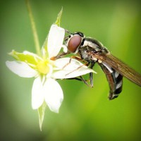 /album/lectaguger/photolia-a02-jpg/