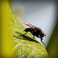 /album/lectaguger/photolia-a04-jpg/