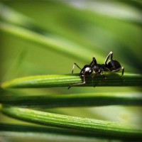 /album/lectaguger/photolia-a05-jpg/