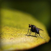 /album/lectaguger/photolia-a07-jpg/