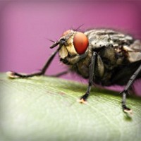 /album/lectaguger/photolia-a08-jpg/